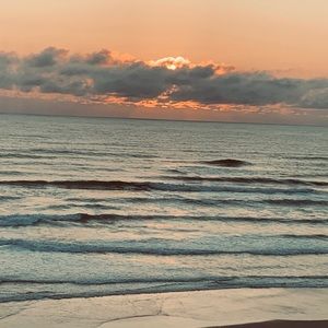 Meet your Posher, Sydney